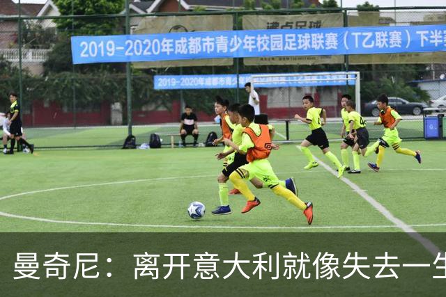 曼奇尼：离开意大利就像失去一生挚爱 恳请球迷原谅
